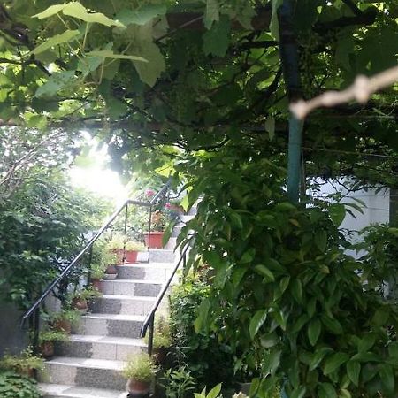 Свети Никола Hotel Sinemoretz Eksteriør billede